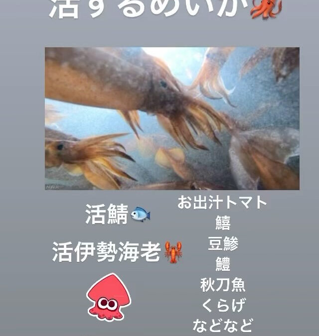 #西武池袋線グルメ #清瀬 #魚 #伊勢海老 #かわはぎ #