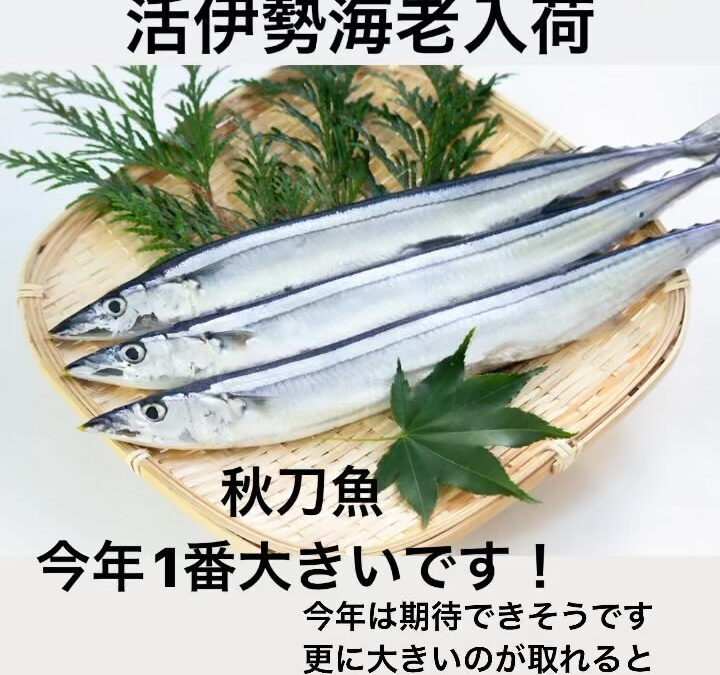 #西武池袋線グルメ #清瀬 #魚 #伊勢海老 #かわはぎ #