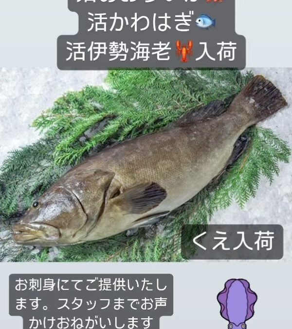 #西武池袋線グルメ #清瀬 #魚 #伊勢海老 #かわはぎ #