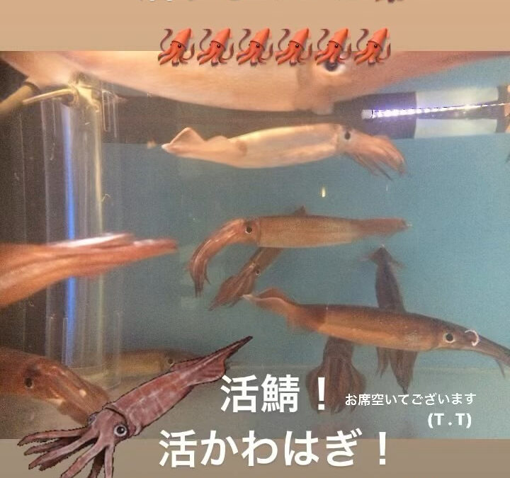 #西武池袋線グルメ #清瀬 #魚 #伊勢海老 #かわはぎ #