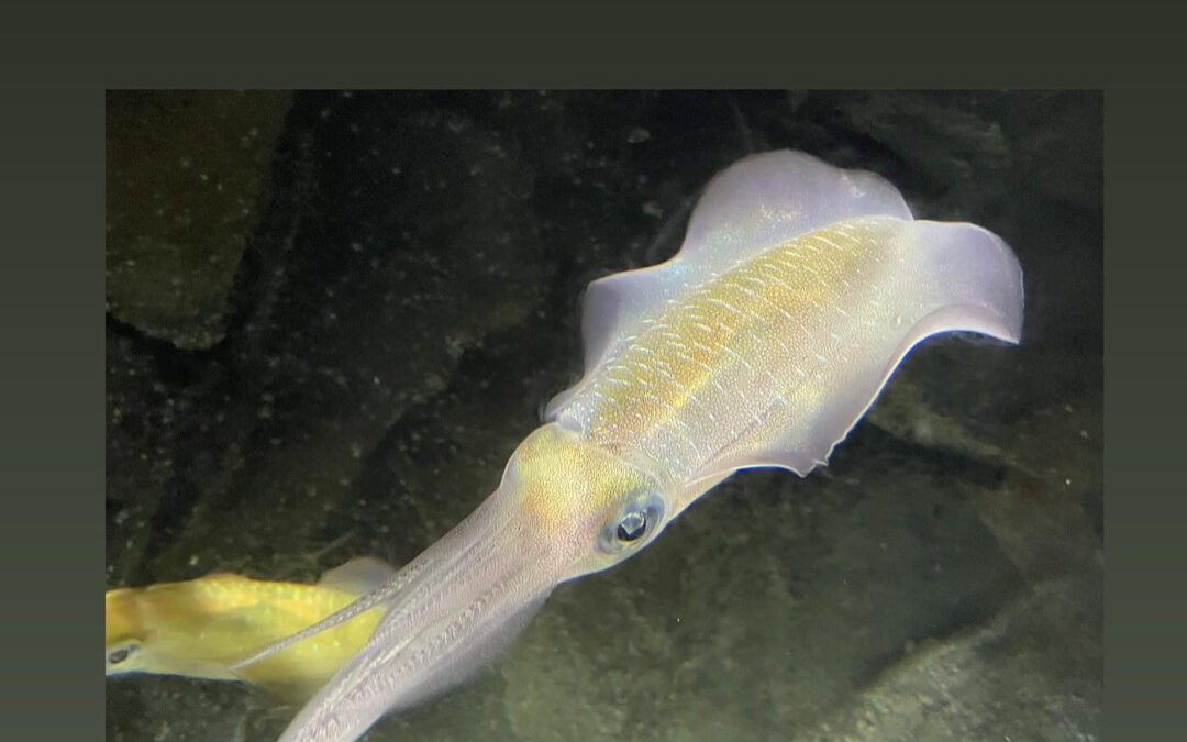 東京都清瀬市の清瀬駅から徒歩5分でお越し頂ける旬菜魚 hir