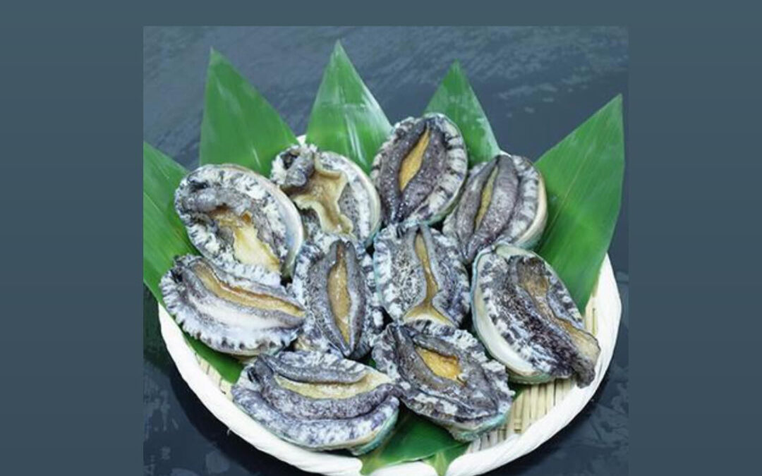 東京都清瀬市の清瀬駅から徒歩5分でお越し頂ける旬菜魚 hir