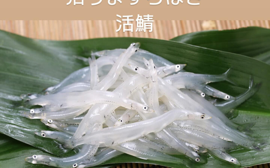 東京都清瀬市の清瀬駅から徒歩5分でお越し頂ける旬菜魚 hir