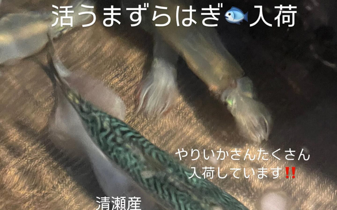 東京都清瀬市の清瀬駅から徒歩5分でお越し頂ける旬菜魚 hir