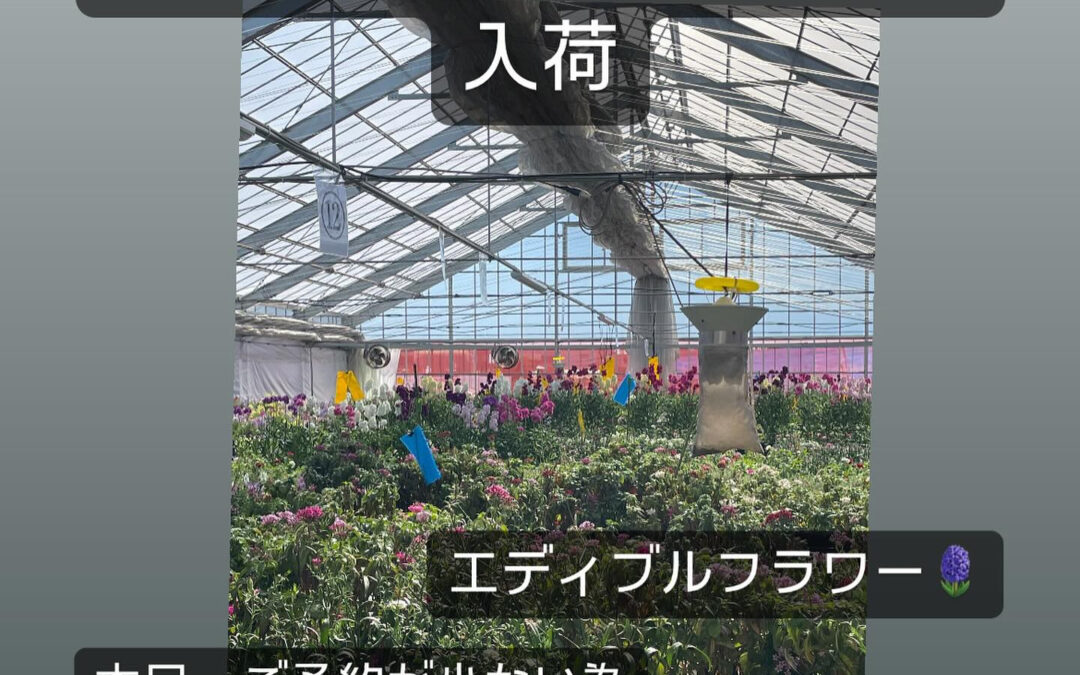 東京都清瀬市の清瀬駅から徒歩5分でお越し頂ける旬菜魚 hir