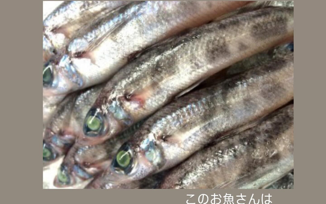 東京都清瀬市の清瀬駅から徒歩5分でお越し頂ける旬菜魚 hir