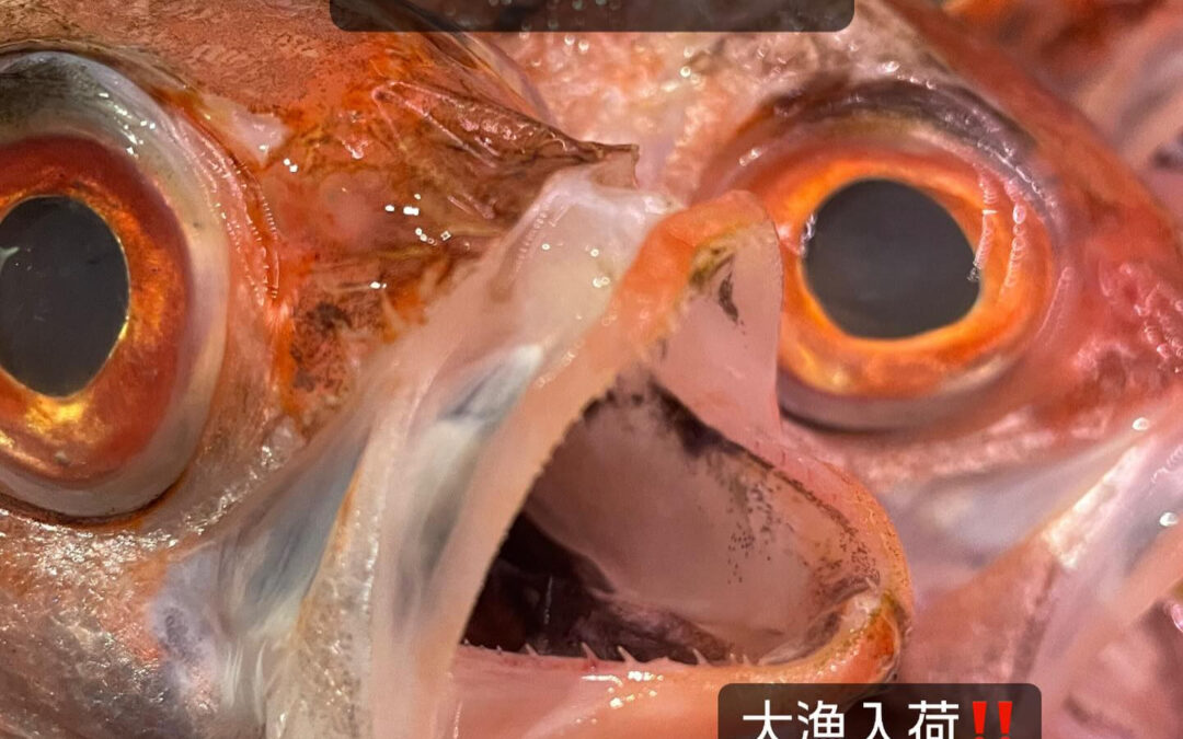 東京都清瀬市の清瀬駅から徒歩5分でお越し頂ける旬菜魚 hir