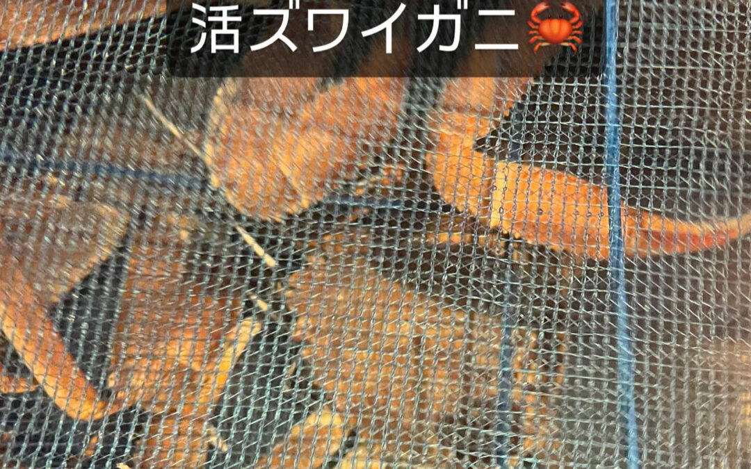 東京都清瀬市の清瀬駅から徒歩5分でお越し頂ける旬菜魚 hir