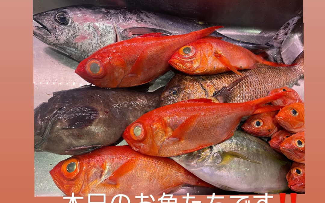 東京都清瀬市の清瀬駅から徒歩5分でお越し頂ける旬菜魚 hir