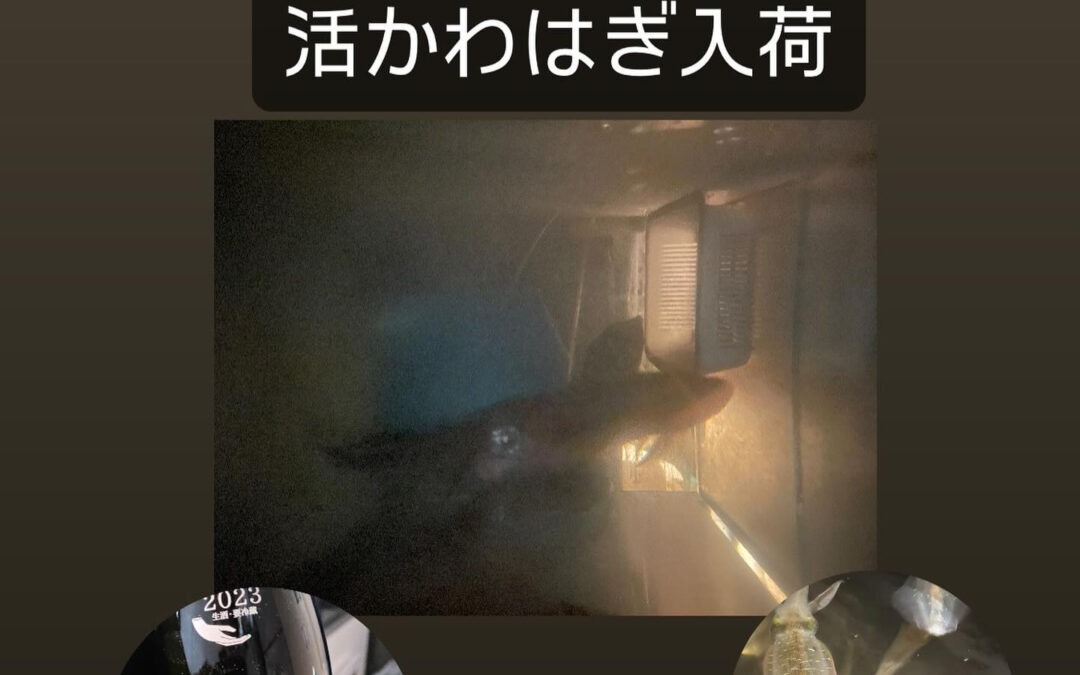東京都清瀬市の清瀬駅から徒歩5分でお越し頂ける旬菜魚 hir