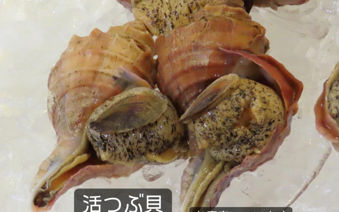 東京都清瀬市の清瀬駅から徒歩5分でお越し頂ける旬菜魚 hir