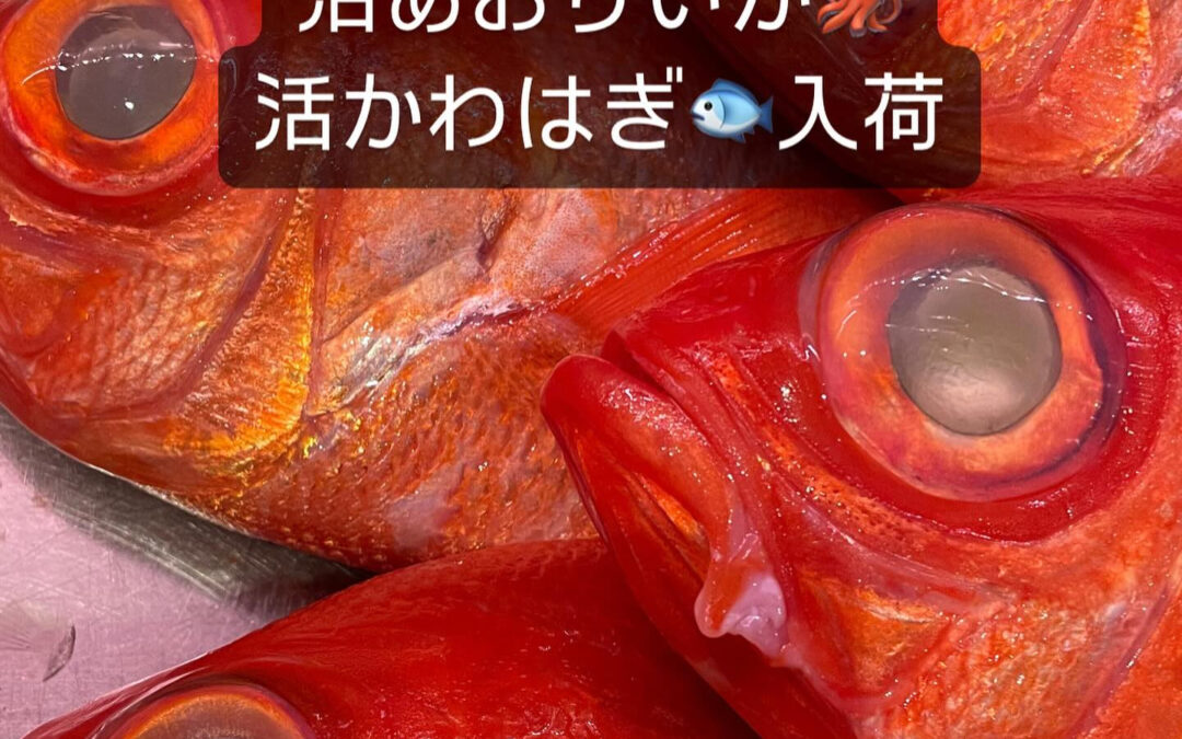 東京都清瀬市の清瀬駅から徒歩5分でお越し頂ける旬菜魚 hir