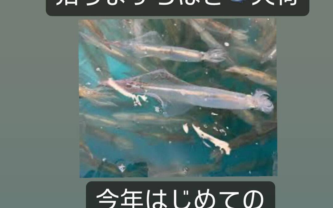 東京都清瀬市の清瀬駅から徒歩5分でお越し頂ける旬菜魚 hir