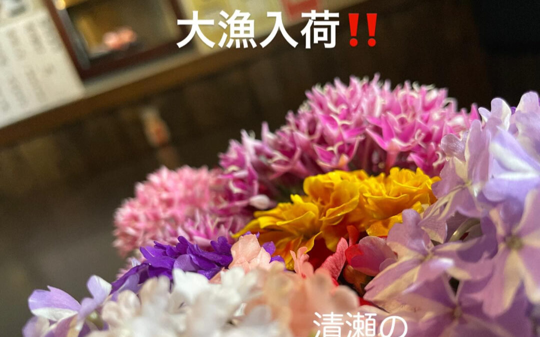 東京都清瀬市の清瀬駅から徒歩5分でお越し頂ける旬菜魚 hir