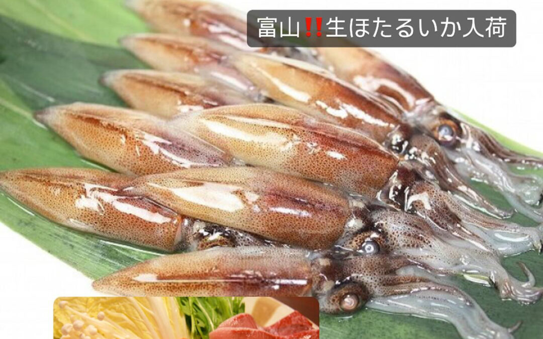 東京都清瀬市の清瀬駅から徒歩5分でお越し頂ける旬菜魚 hir