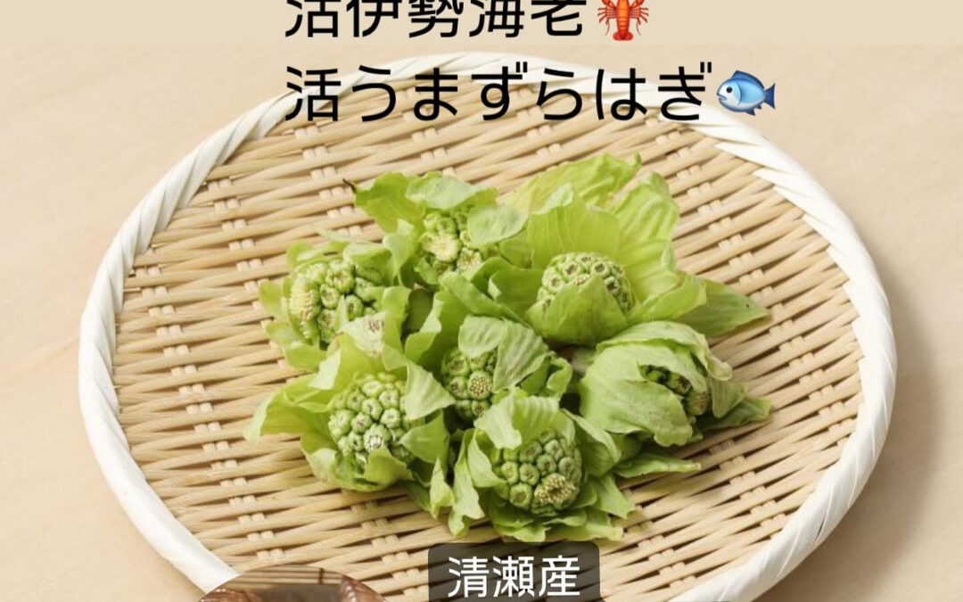 東京都清瀬市の清瀬駅から徒歩5分でお越し頂ける旬菜魚 hir