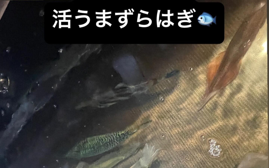 東京都清瀬市の清瀬駅から徒歩5分でお越し頂ける旬菜魚 hir