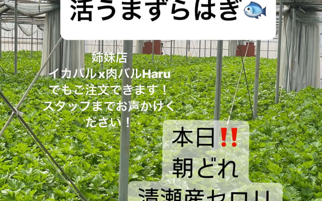 東京都清瀬市の清瀬駅から徒歩5分でお越し頂ける旬菜魚 hir