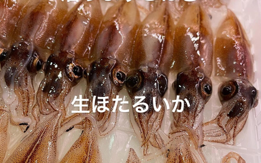 東京都清瀬市の清瀬駅から徒歩5分でお越し頂ける旬菜魚 hir