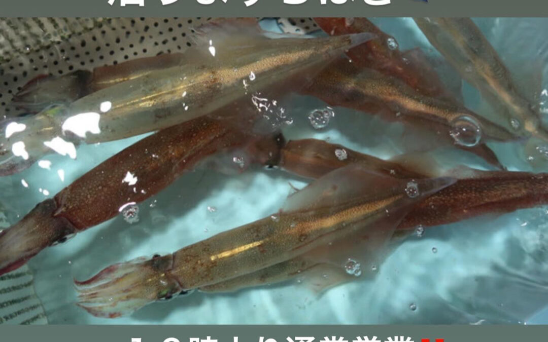 東京都清瀬市の清瀬駅から徒歩5分でお越し頂ける旬菜魚 hir
