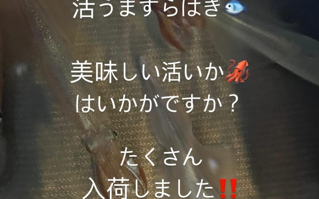 東京都清瀬市の清瀬駅から徒歩5分でお越し頂ける旬菜魚 hir