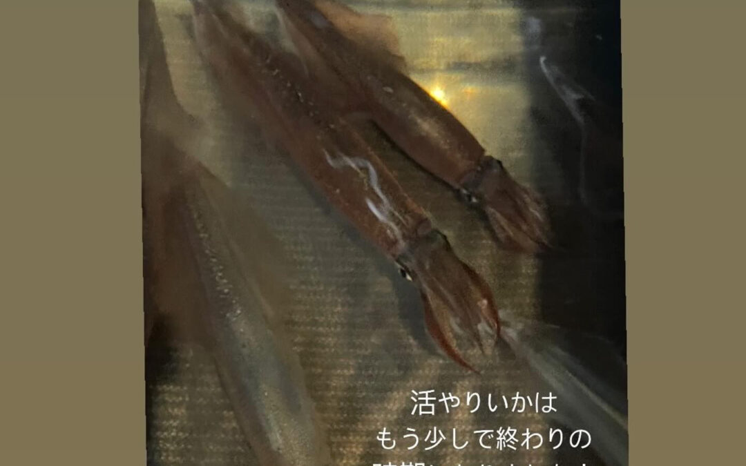 東京都清瀬市の清瀬駅から徒歩5分でお越し頂ける旬菜魚 hir