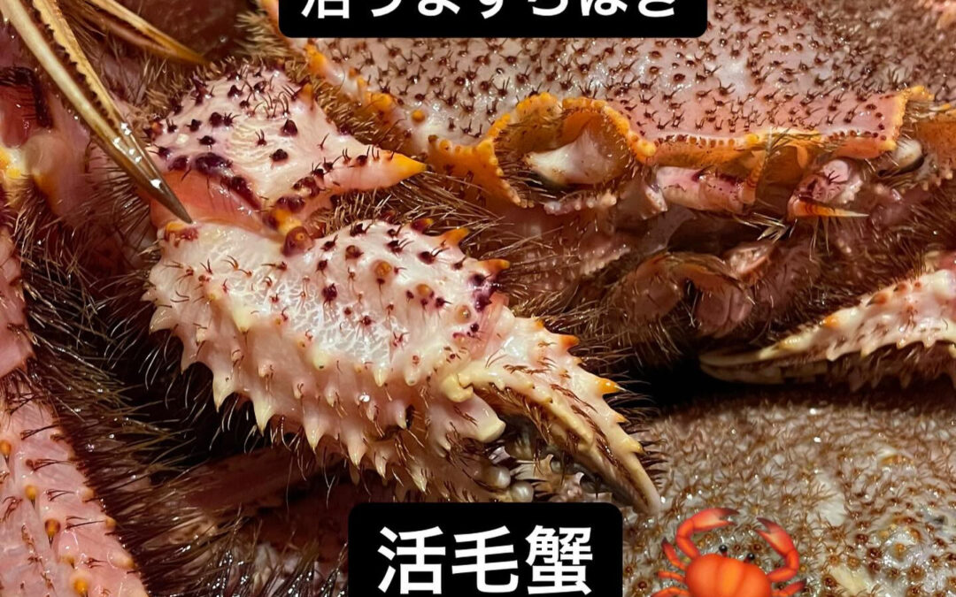 東京都清瀬市の清瀬駅から徒歩5分でお越し頂ける旬菜魚 hir