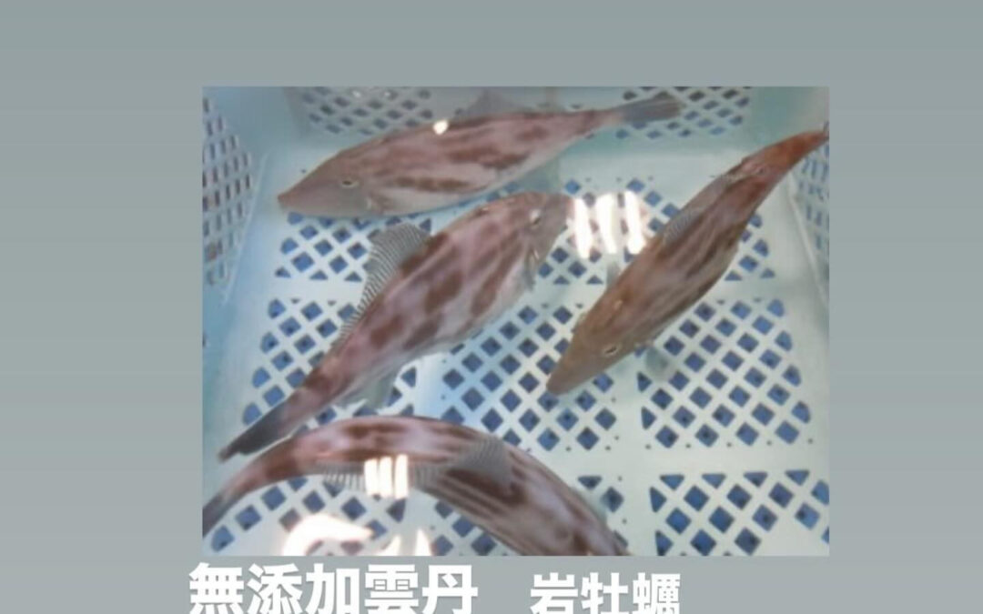 東京都清瀬市の清瀬駅から徒歩5分でお越し頂ける旬菜魚 hir