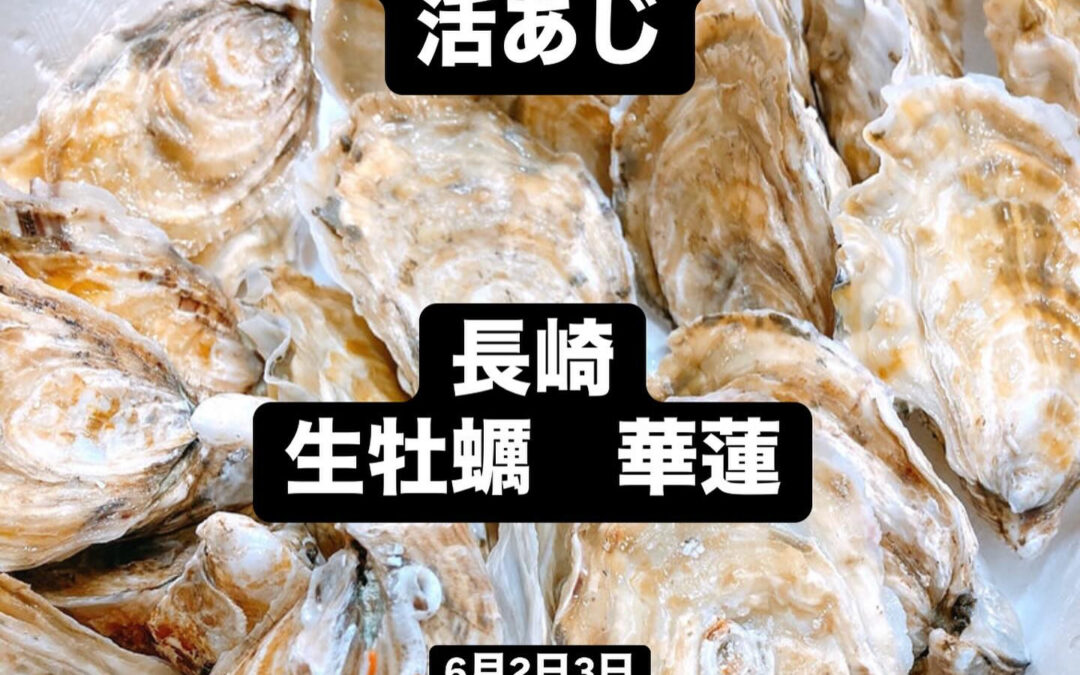 東京都清瀬市の清瀬駅から徒歩5分でお越し頂ける旬菜魚 hir