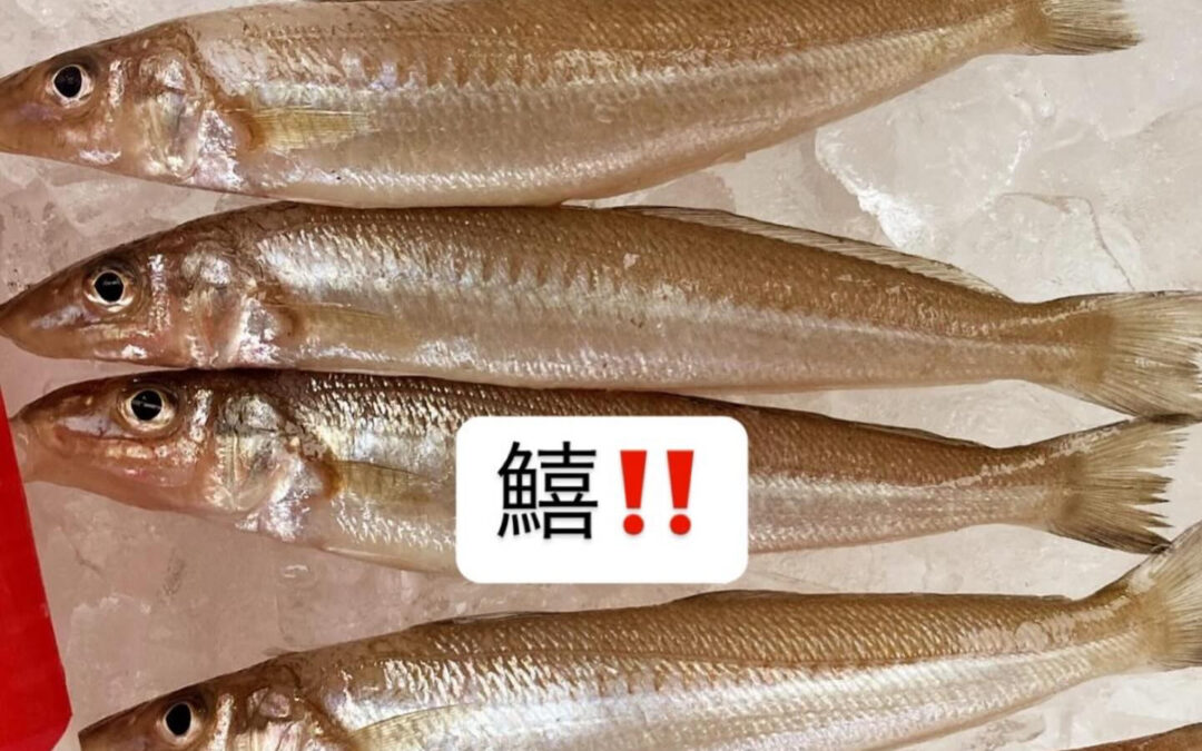 東京都清瀬市の清瀬駅から徒歩5分でお越し頂ける旬菜魚 hir