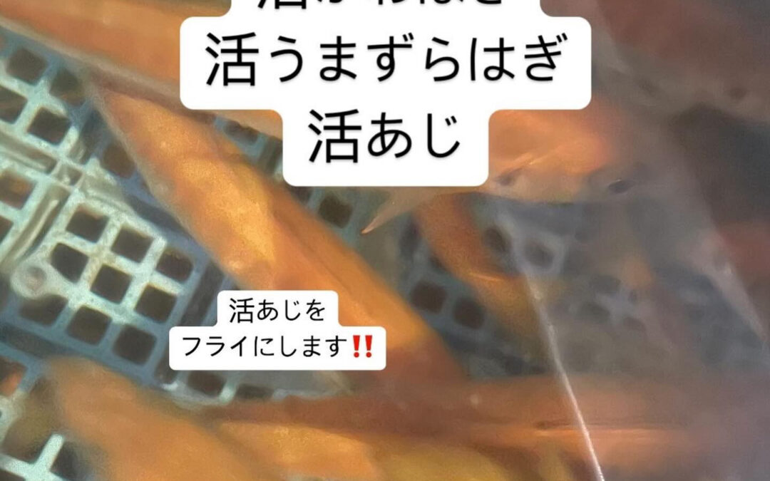 東京都清瀬市の清瀬駅から徒歩5分でお越し頂ける旬菜魚 hir