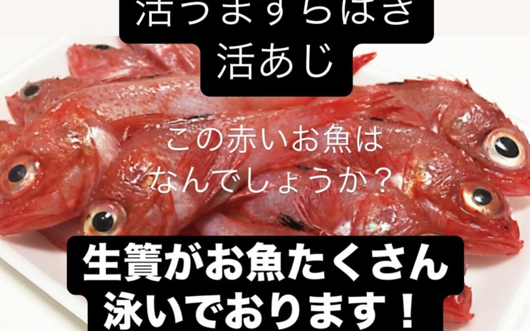 東京都清瀬市の清瀬駅から徒歩5分でお越し頂ける旬菜魚 hir