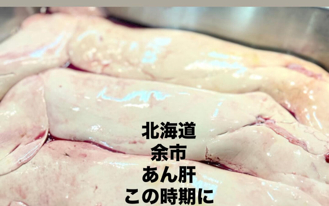 – [ ] #清瀬#MAGURO#西武池袋線#活いか#活魚#