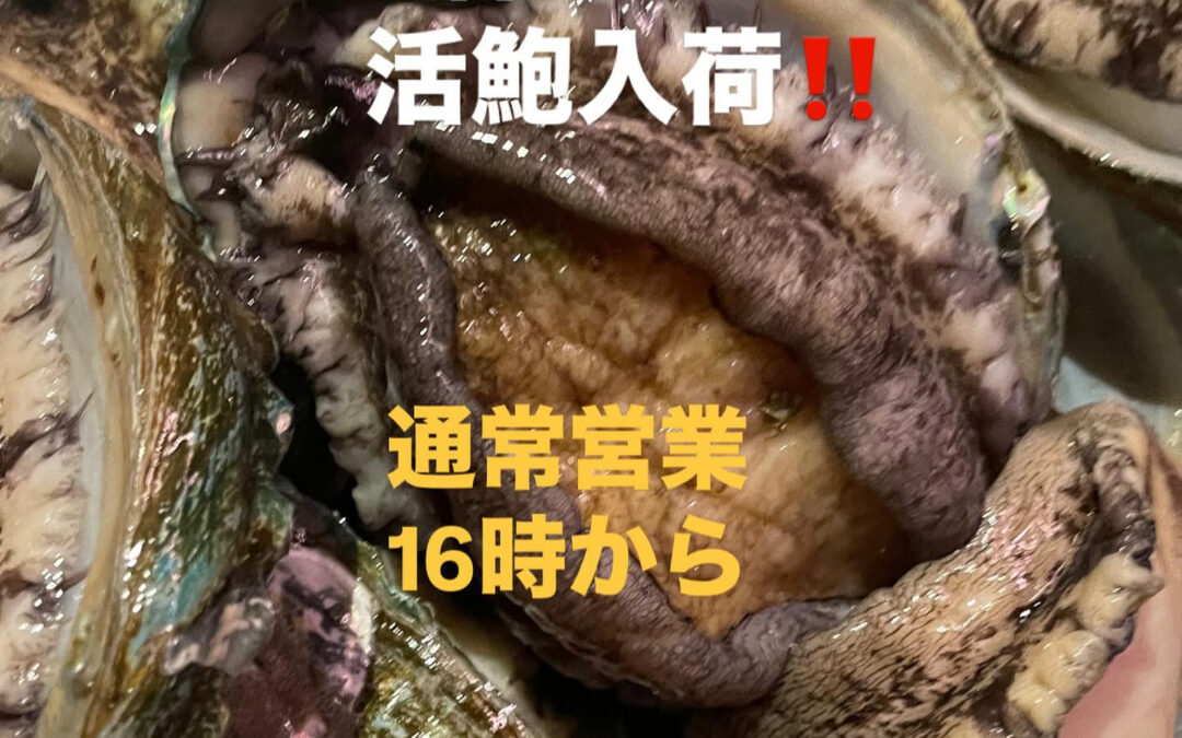 #清瀬#MAGURO#西武池袋線#活いか#活魚#魚#刺身#居