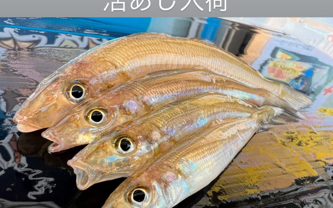 東京都清瀬市の清瀬駅から徒歩5分でお越し頂ける旬菜魚 hir