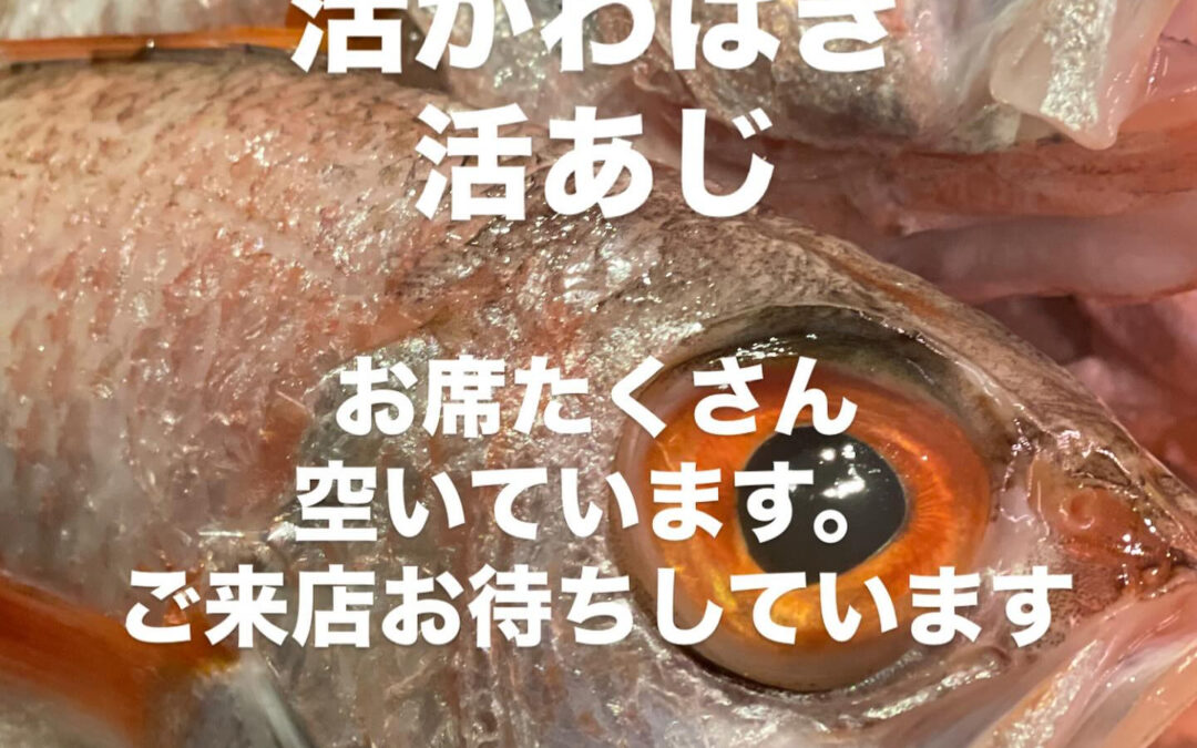 #清瀬#MAGURO#西武池袋線#活いか#活魚#魚#刺身#居