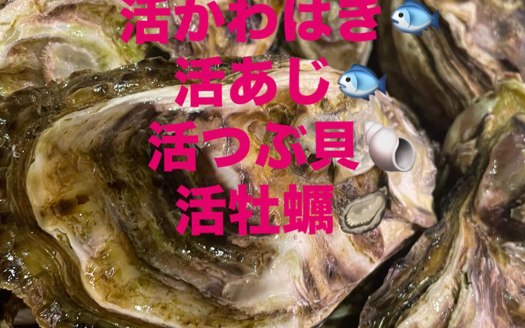 ] #清瀬#MAGURO#西武池袋線#活いか#活魚#魚#刺身