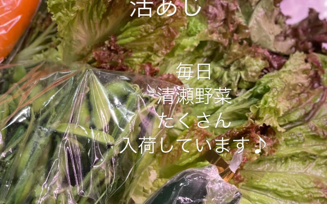 #清瀬#MAGURO#西武池袋線#活いか#活魚#魚#刺身#居