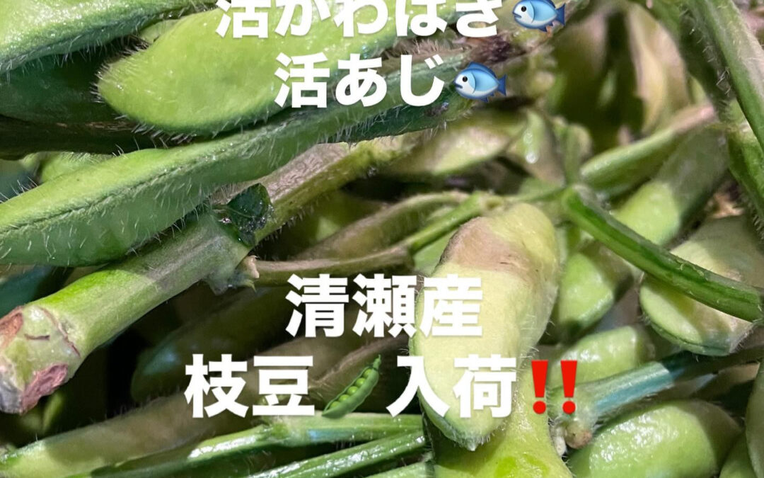 東京都清瀬市の清瀬駅から徒歩5分でお越し頂ける旬菜魚 hir