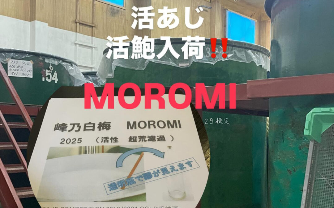 #清瀬#MAGURO#西武池袋線#活いか#活魚#魚#刺身#居