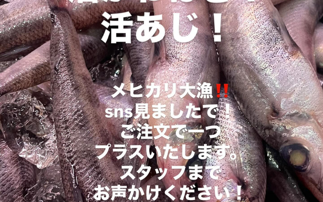#清瀬#MAGURO#西武池袋線#活いか#活魚#魚#刺身#居