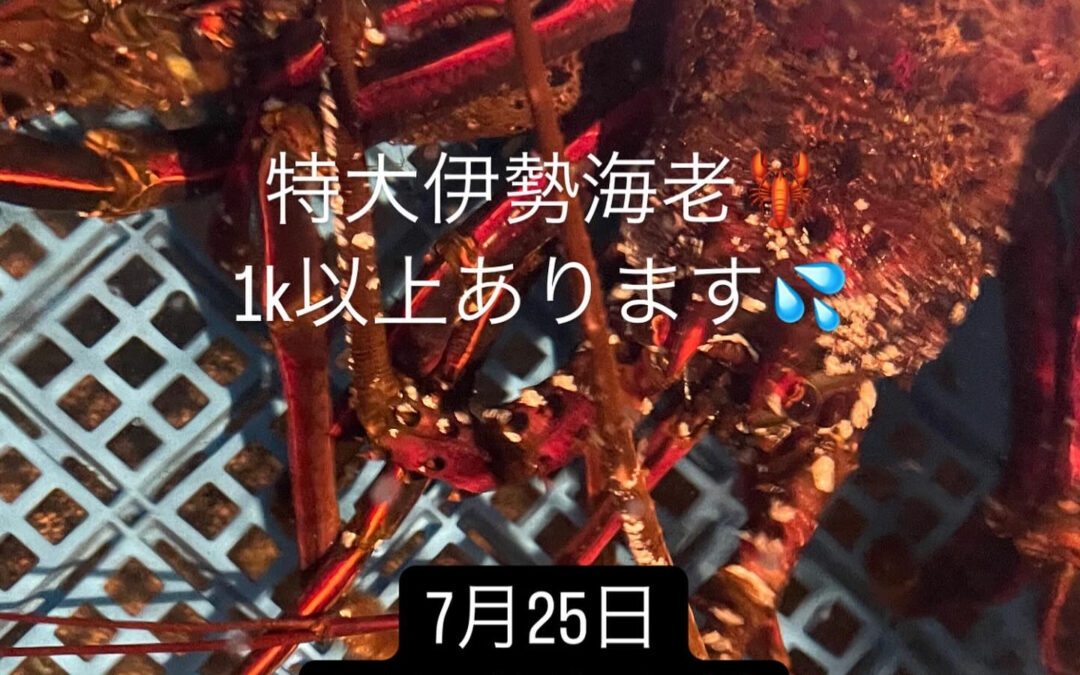 – [x] #清瀬#MAGURO#西武池袋線#活いか#活魚#