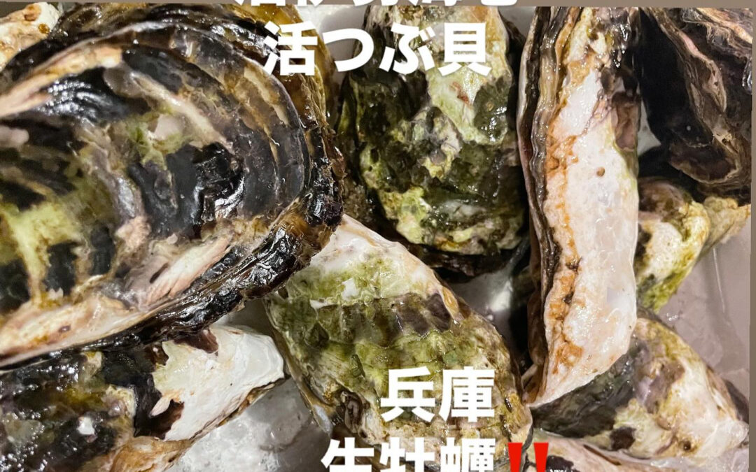 – [x] #清瀬#MAGURO#西武池袋線#活いか#活魚#