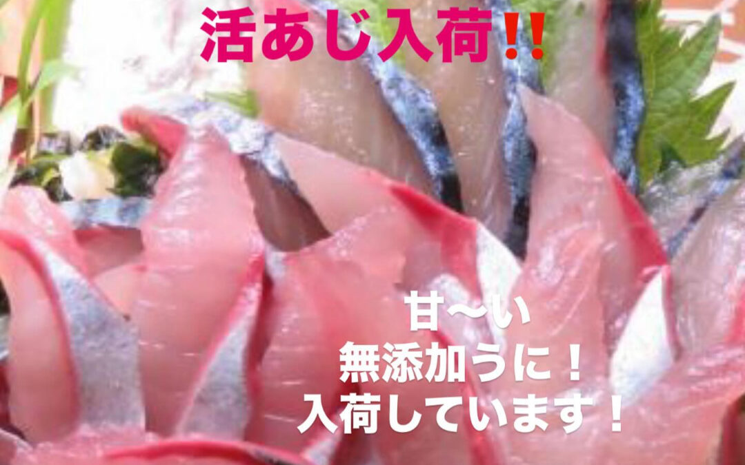 – [x] #清瀬#MAGURO#西武池袋線#活いか#活魚#