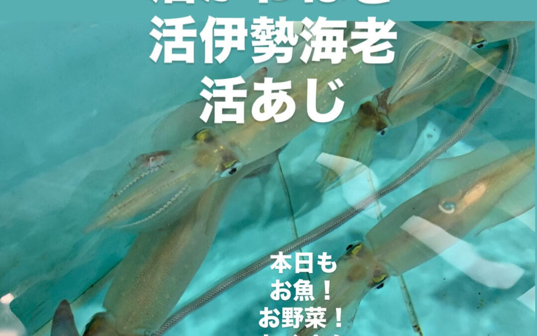– [x] #清瀬#MAGURO#西武池袋線#活いか#活魚#