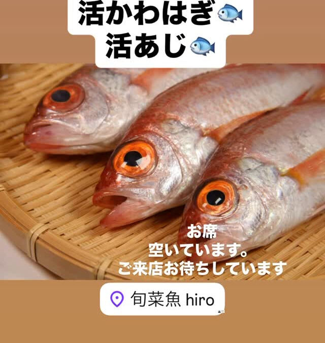 #清瀬#MAGURO#西武池袋線#活いか#活魚#魚#刺身#居