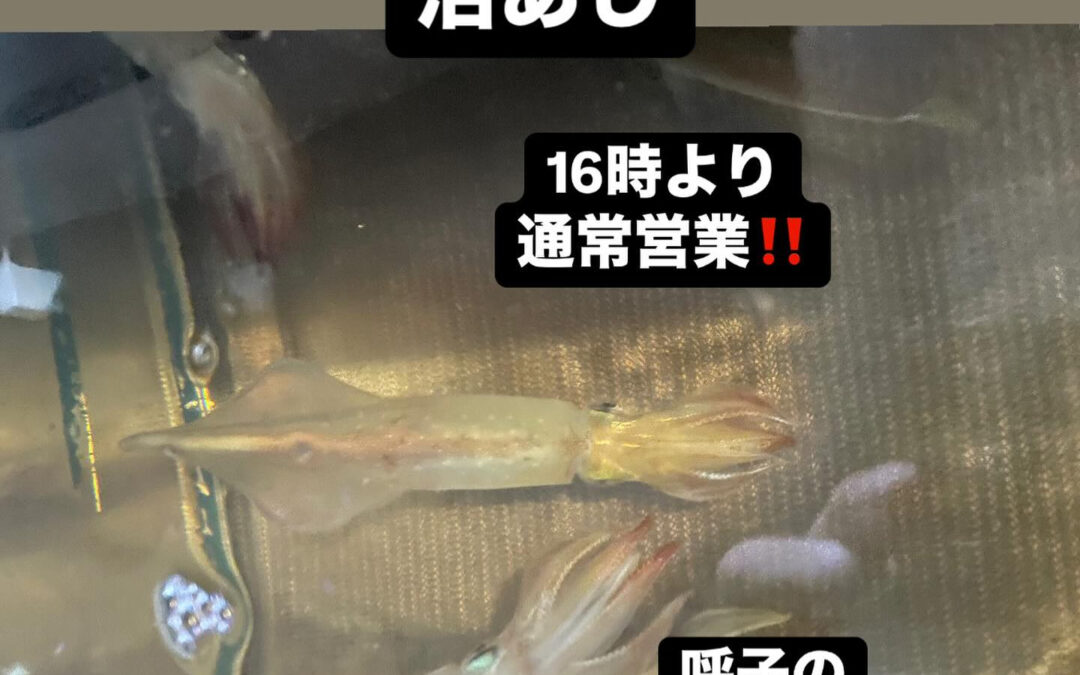 – [x] #清瀬#MAGURO#西武池袋線#活いか#活魚#