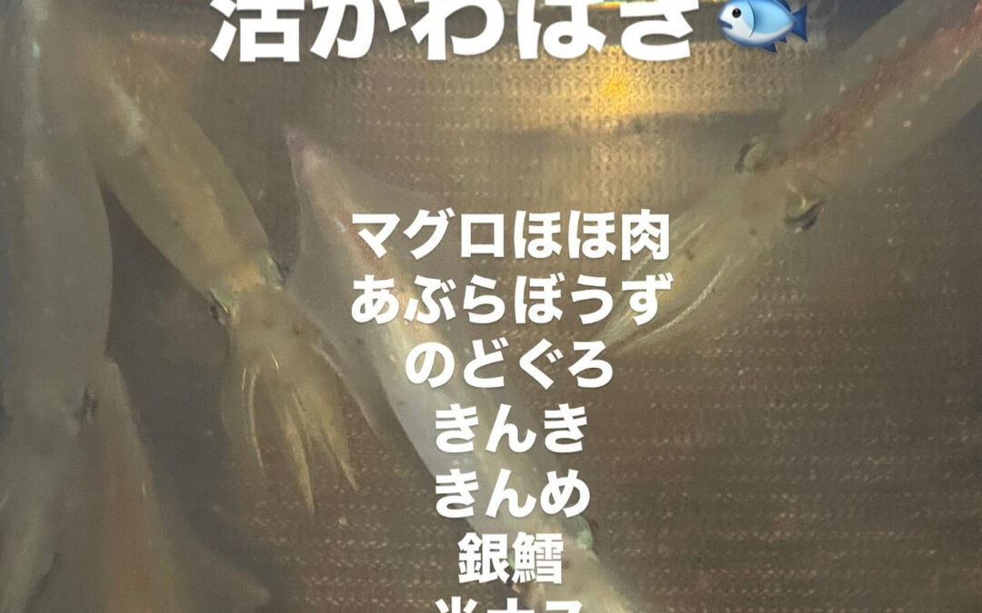 – [x] #清瀬#MAGURO#西武池袋線#活いか#活魚#