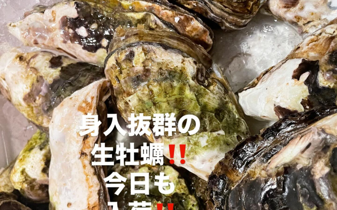 – [x] #清瀬#MAGURO#西武池袋線#活いか#活魚#