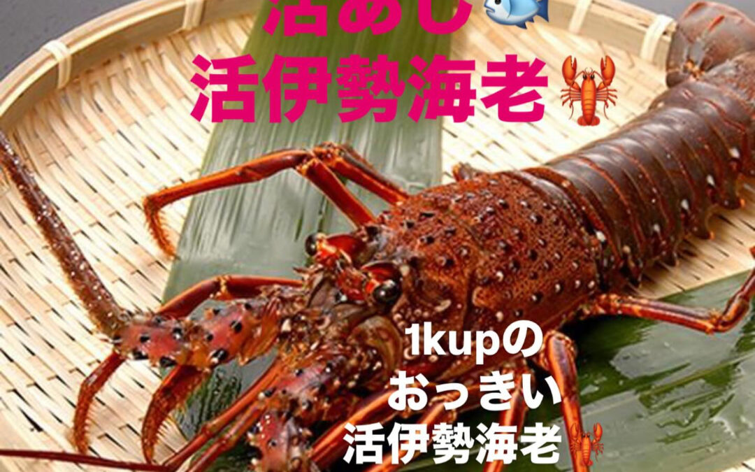 – [x] #清瀬#MAGURO#西武池袋線#活いか#活魚#